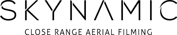 Skynamic logo